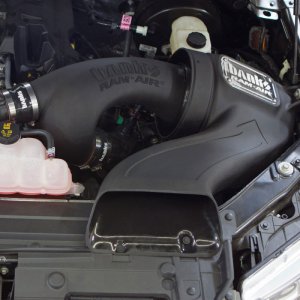 Ford F-150 Performance Air Intake - Banks Power - Ram-Air, Dry Filter - `15-`17